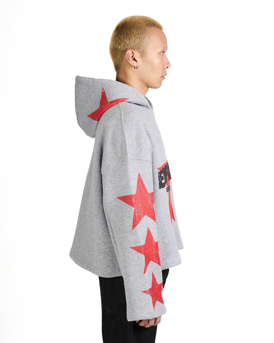 Hoodie Astral Grey